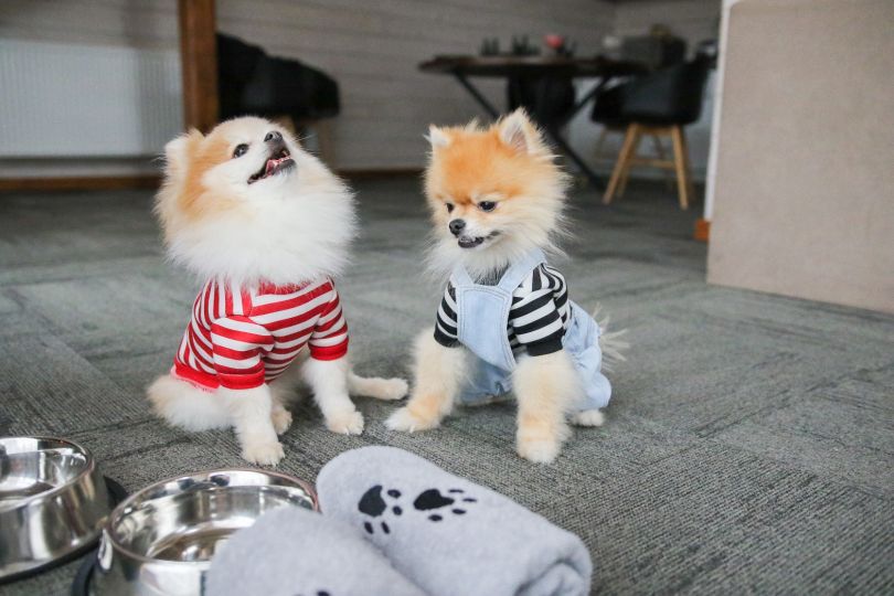 TAOR Karpaty Resort &amp; Spa